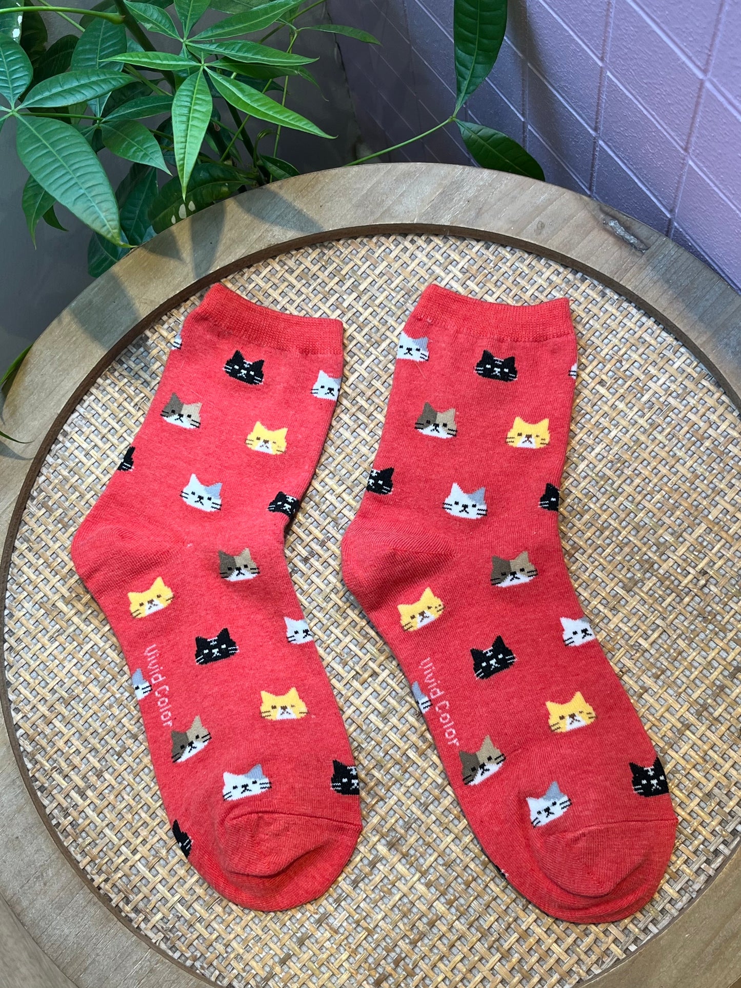 Chaussettes Chat