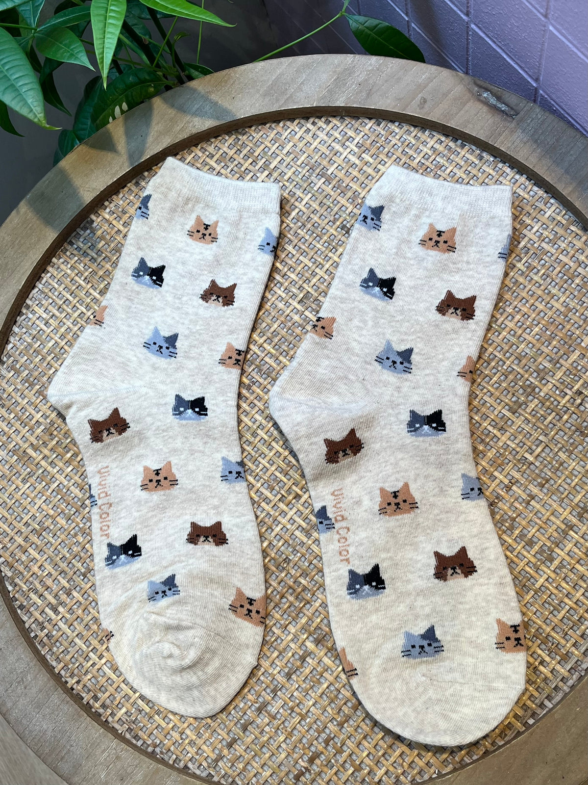 Chaussettes Chat