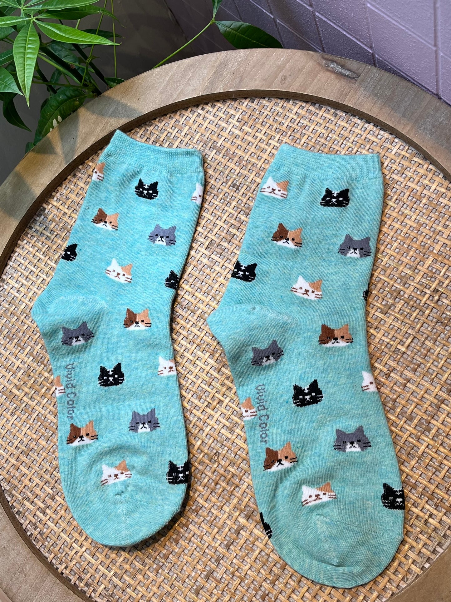 Chaussettes Chat