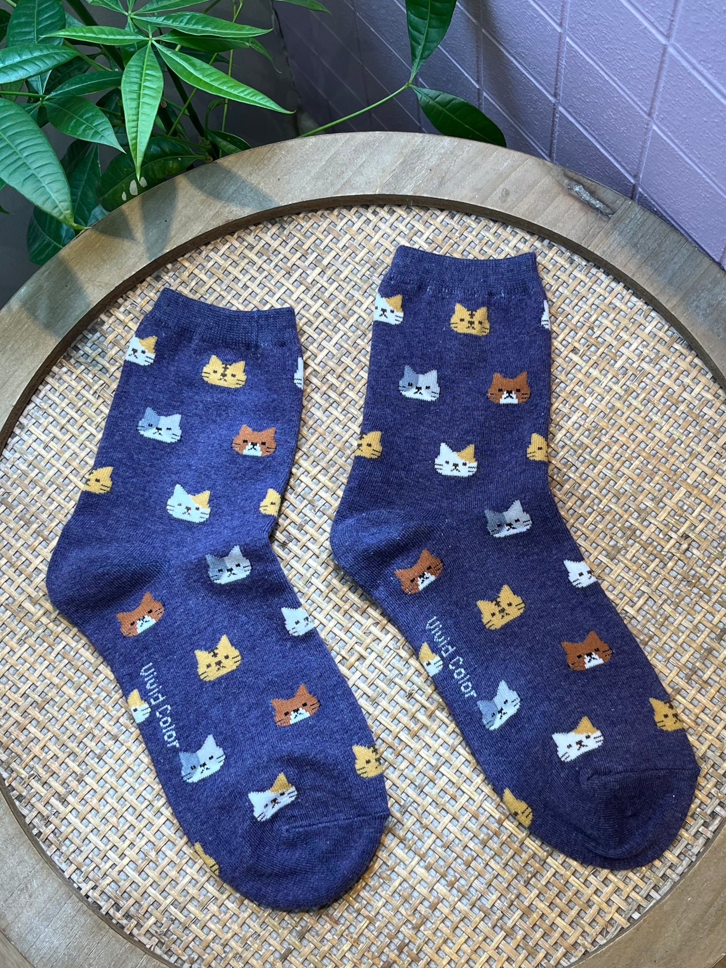 Chaussettes Chat