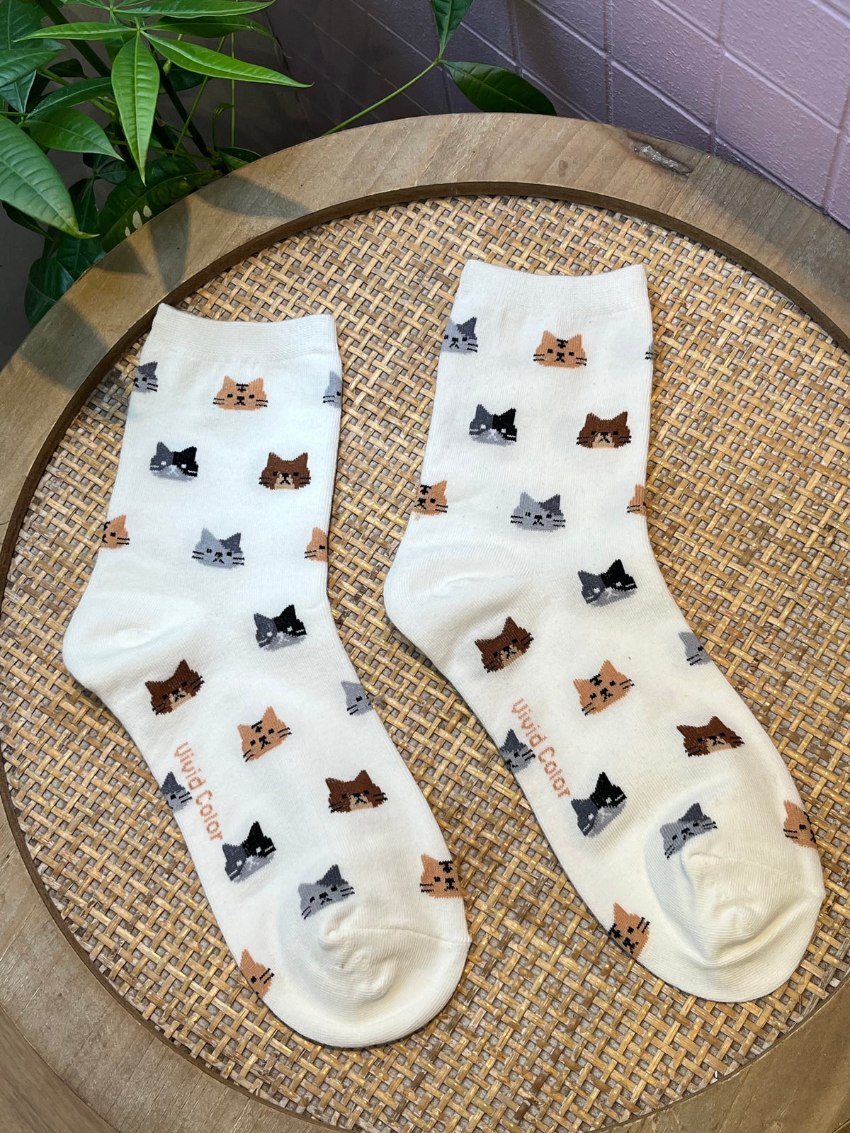 Chaussettes Chat